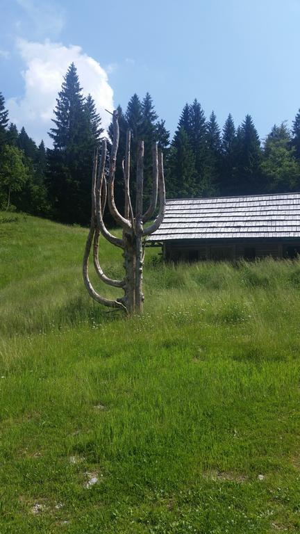 Brunarica Bled Zatrnik Pokljuka Εξωτερικό φωτογραφία