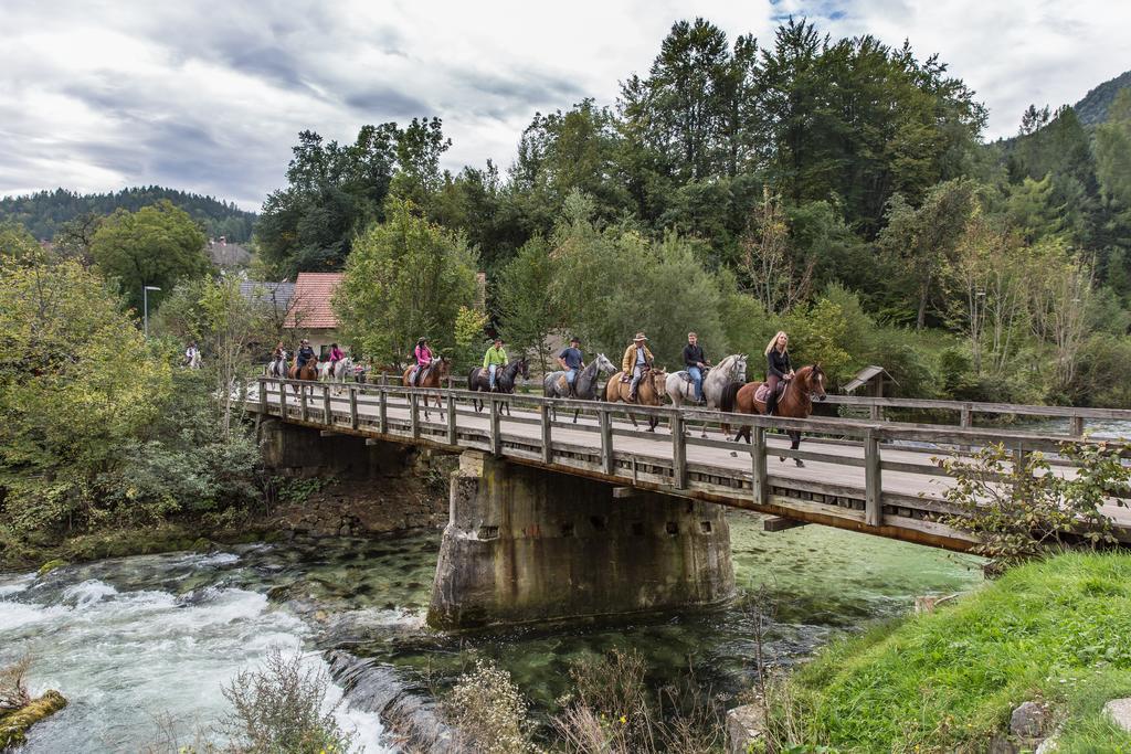 Brunarica Bled Zatrnik Pokljuka Εξωτερικό φωτογραφία