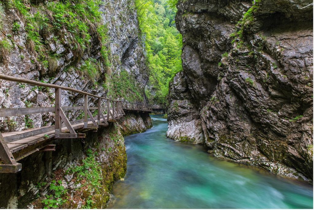 Brunarica Bled Zatrnik Pokljuka Εξωτερικό φωτογραφία