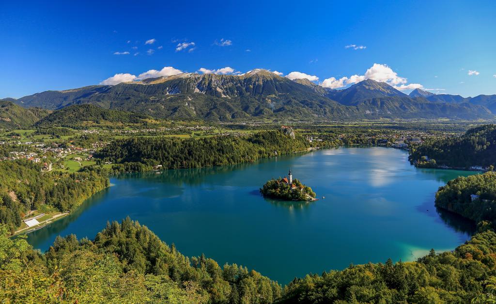 Brunarica Bled Zatrnik Pokljuka Εξωτερικό φωτογραφία